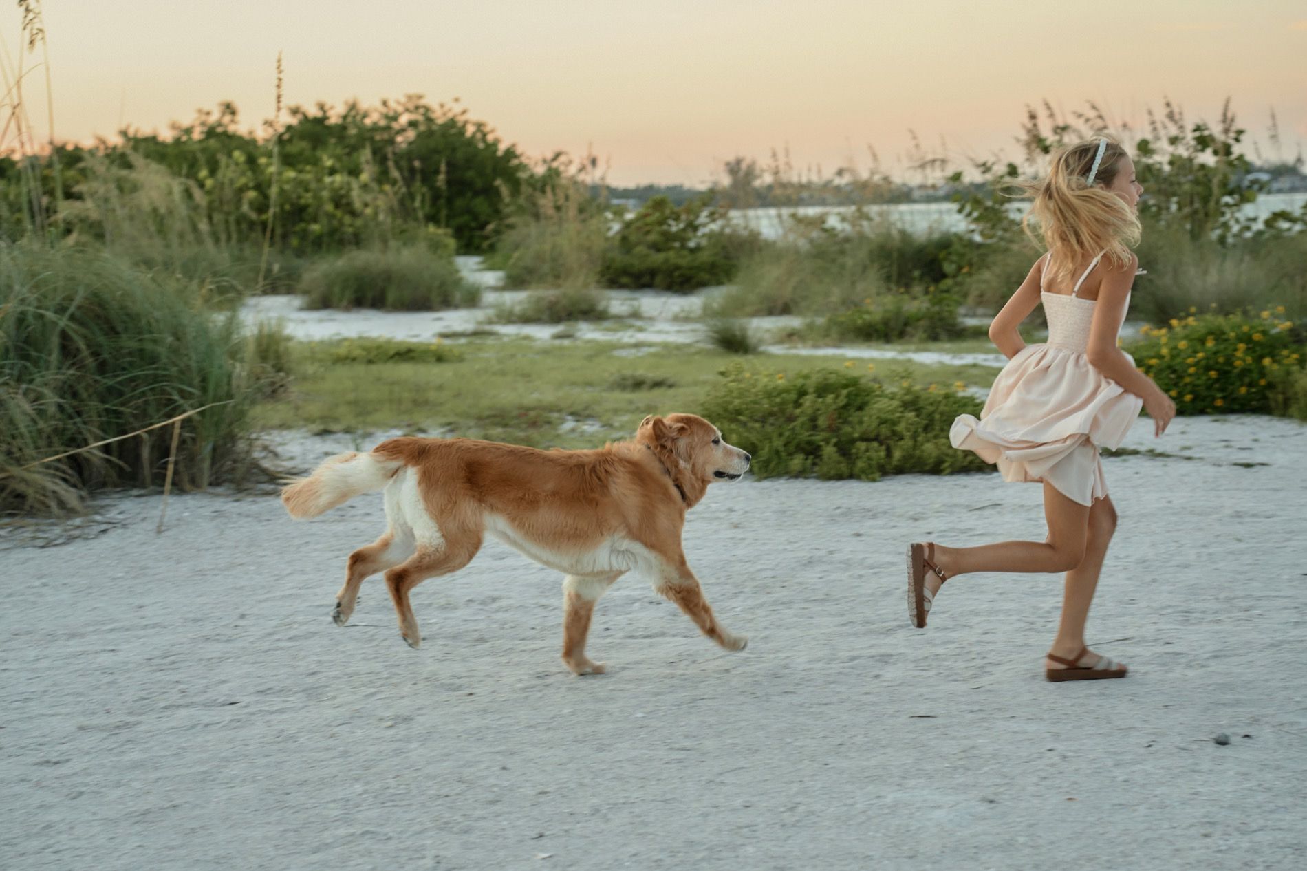 A golden retriever running ahead of a girl on the sand